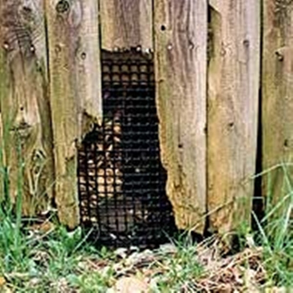 TENAX 711391 Hardware Net, 15 ft L, Quadrangular Mesh, 1/2 x 1/2 in Mesh, Polyethylene, Black