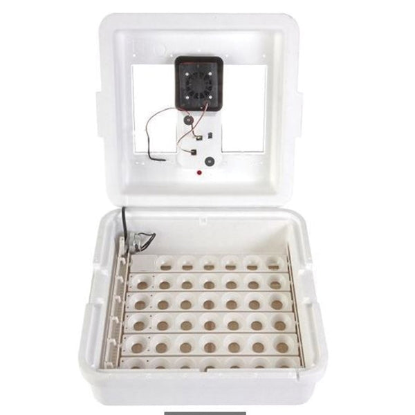 Little Giant 9300 Egg Incubator, 110 V, 41 Large Chicken Eggs Egg, Styrofoam