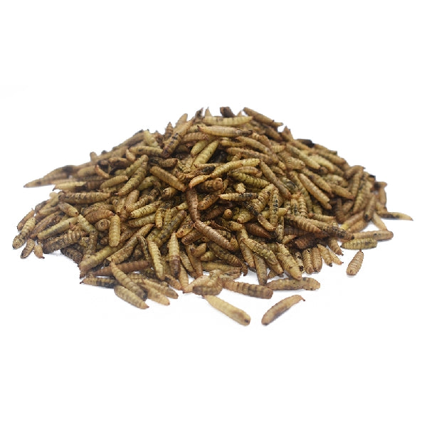 Pecking Order 009354 Poultry Feed, 32 oz Bag