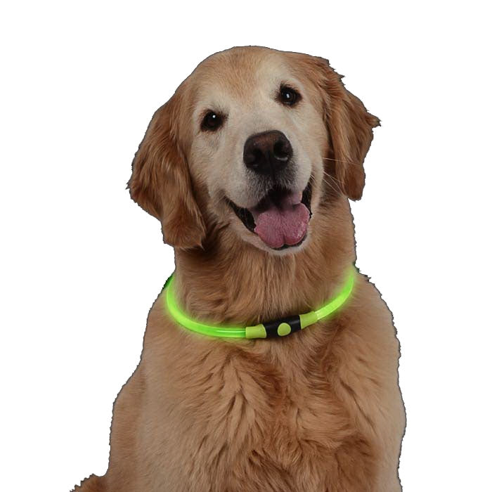 Nite Ize NITEHOWL NHO-28-R3 LED Safety Necklace, Green