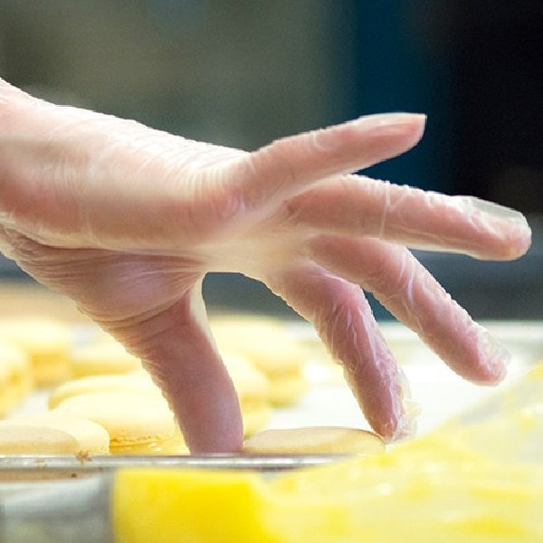 GLOVEWORKS GWV10PK Disposable Gloves, Universal, Vinyl, Powder-Free, Clear, 12.99 in L