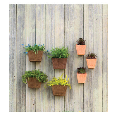 NOVELTY N65 70804 Ella Wall Pot, 8-1/2 in Dia, 5-3/4 in D, Brown