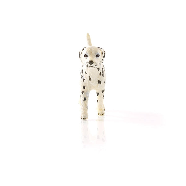 Schleich-S 16838 Figurine, 3 to 8 years, Dalmatian Male, Plastic