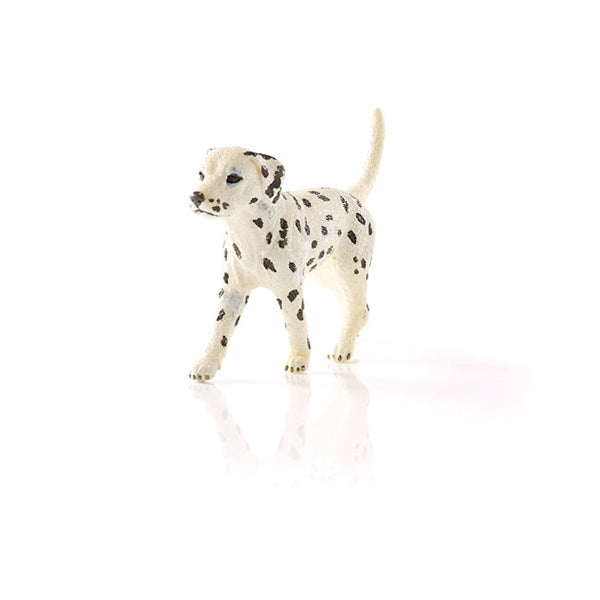 Schleich-S 16838 Figurine, 3 to 8 years, Dalmatian Male, Plastic