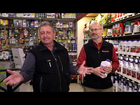 Bonide 803 Thuricide Bacillus Thuringiensis, Liquid, 1 pt Bottle