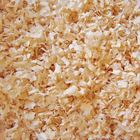 WoodShavings.jpg