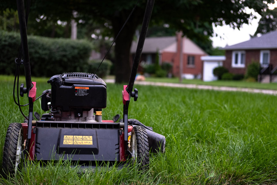 lawnmower ready to cut fresh spring grass