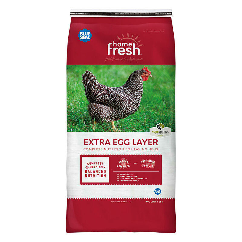 lg2Fblue-seal-_home-fresh_extra-egg-layer_25lb_K9311_front_1080px.jpg