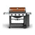 Weber Genesis II 62020001 Gas Grill, 48000 Btu/hr BTU, Liquid Propane, 4 -Burner, 646 sq-in Primary Cooking Surface