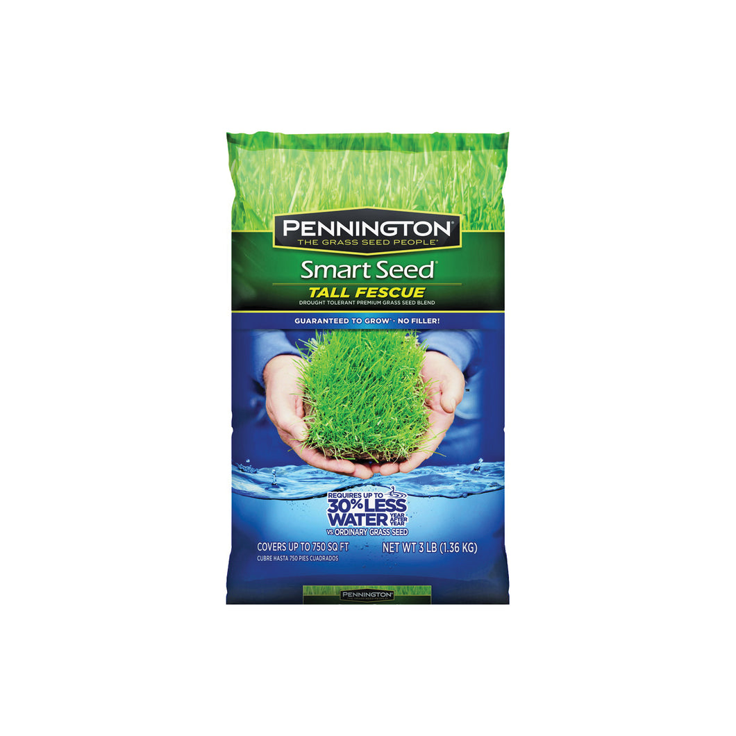 Pennington 100526675 Tall Fescue Grass Seed, 3 lb Bag