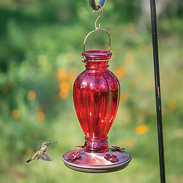 Perky-Pet 8133-2 Bird Feeder, Daisy Vase Vintage, 18 oz, 4-Port/Perch, Glass, Red, 12.7 in H