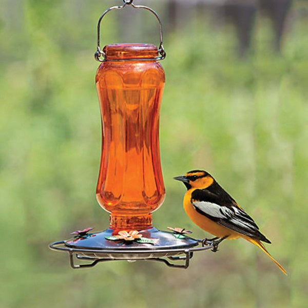 Perky-Pet 8135-2 Bird Feeder, Carnival Glass Vintage, 16 oz, 4-Port/Perch, Glass, Orange, 11-3/4 in H
