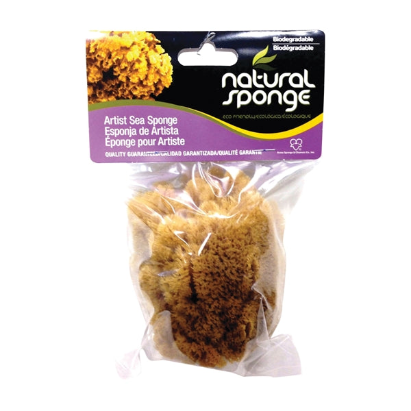 The Natural BP-4050FN Sea Sponge, 4 to 5 in L, Natural