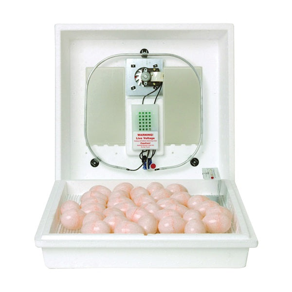 Little Giant 10300 Egg Incubator, 41 Large Chicken Eggs Egg, 99.5 deg F, Styrofoam