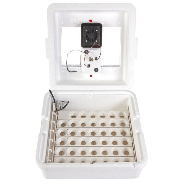 Little Giant 10300 Egg Incubator, 41 Large Chicken Eggs Egg, 99.5 deg F, Styrofoam