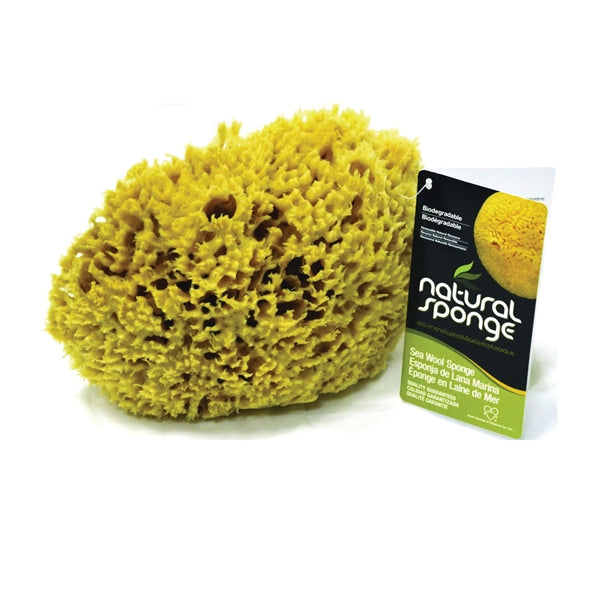 The Natural SW#1-6070C Sea Wool Sponge, 6 to 7 in L, Gold