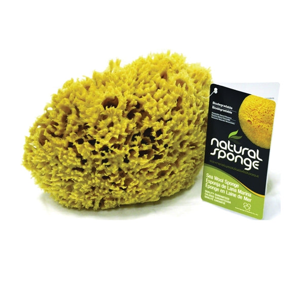 The Natural SW#1-5060C Sea Wool Sponge, 5 to 6 in L, Natural