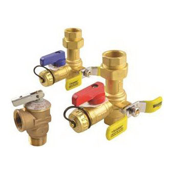 Richmond RTG20220AB Tankless Service Valve Kit, Brass