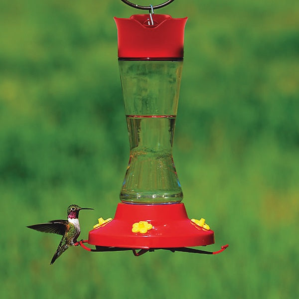 Perky-Pet 210PB Bird Feeder, Pinch Waist, 16 oz, 4-Port/Perch, Hardened Glass/Plastic, Red, 7.1 in H