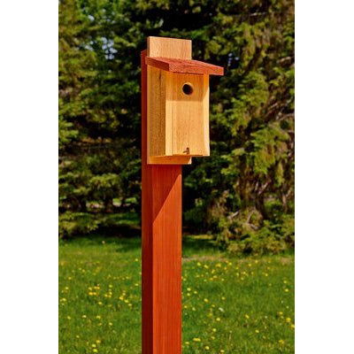 Scotch RF5731 Fastener, 1 in W, 3 in L, Black, 5 lb, Acrylic Adhesive