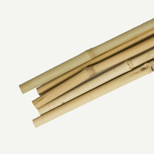 Gardener&#39;s Blue Ribbon BB5N Plant Stake, 5 ft L, Bamboo, Natural