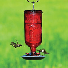 Load image into Gallery viewer, Perky-Pet 8109-2 Bird Feeder, 16 oz, 4-Port/Perch, Glass/Metal, Red, 10.6 in H
