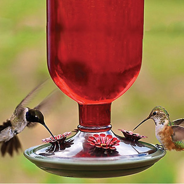 Perky-Pet 8109-2 Bird Feeder, 16 oz, 4-Port/Perch, Glass/Metal, Red, 10.6 in H