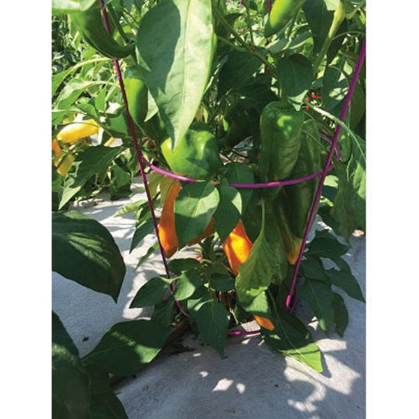 Glamos Wire 716009 Peony Support, 30 in L, 18 in W, Metal, Green