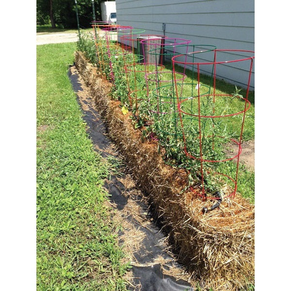 Glamos Wire 716009 Peony Support, 30 in L, 18 in W, Metal, Green