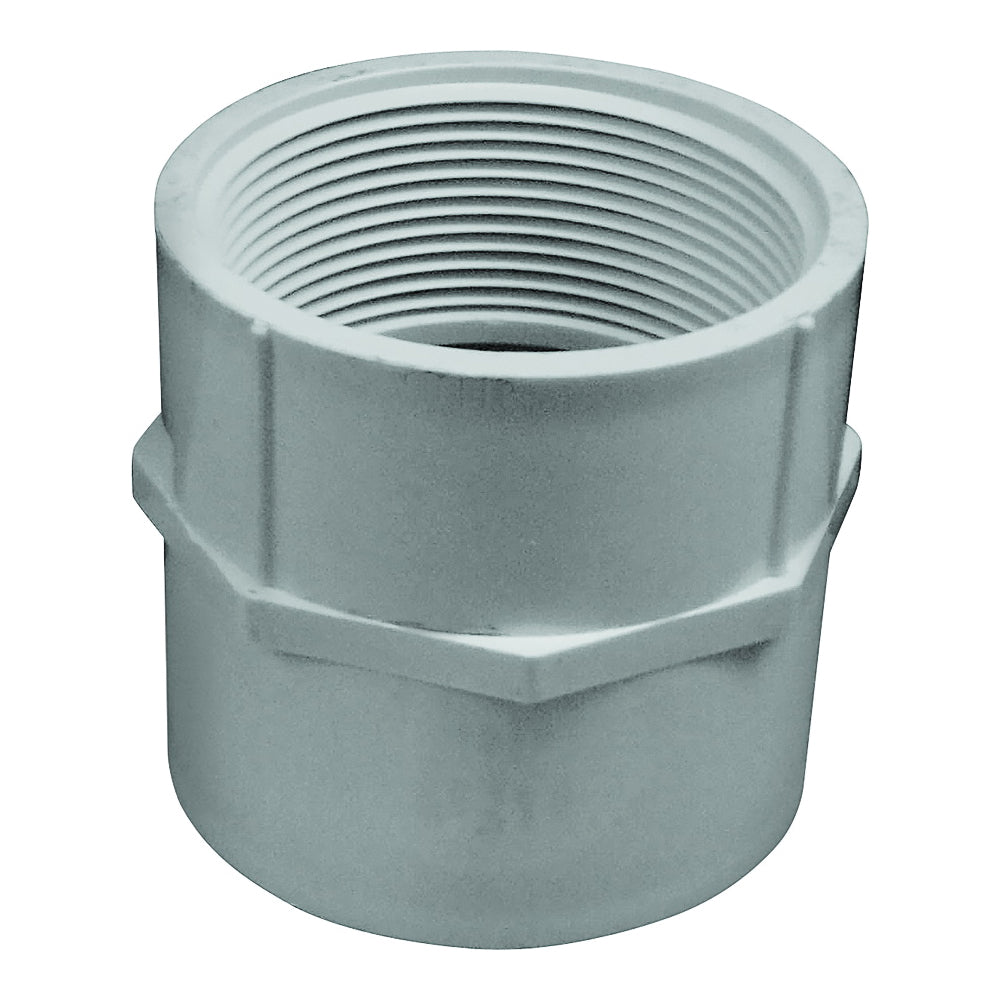 GENOVA 300 Series 30320 Pipe Adapter, 2 in, Slip x FIP, PVC, White, SCH 40 Schedule