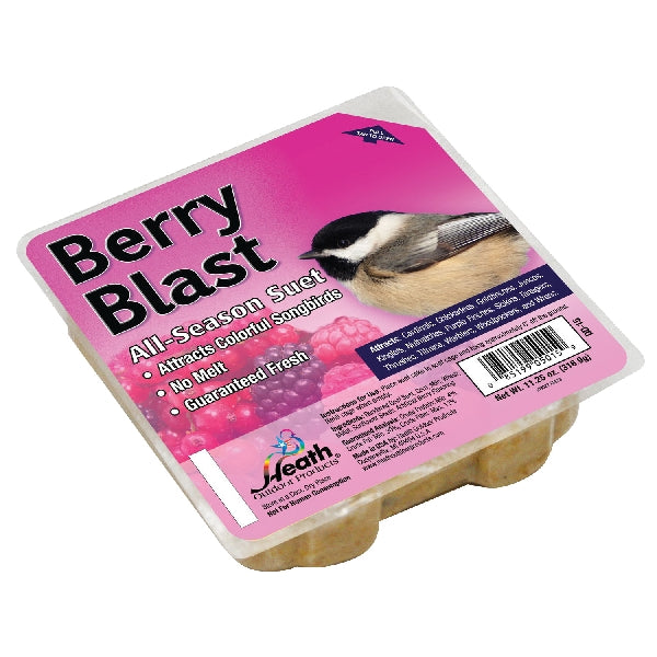 HEATH DD-15 Suet Cake, All-Season, Berry Flavor, 11.25 oz