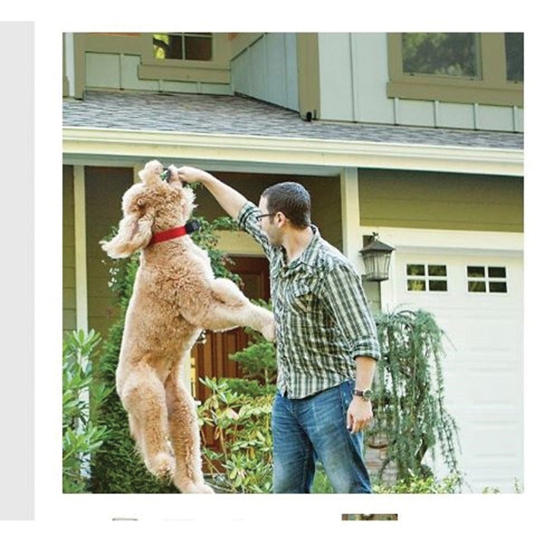 PetSafe PIF-300 Pet Containment System, Battery, Lithium Battery, 90 ft Control, Synthetic