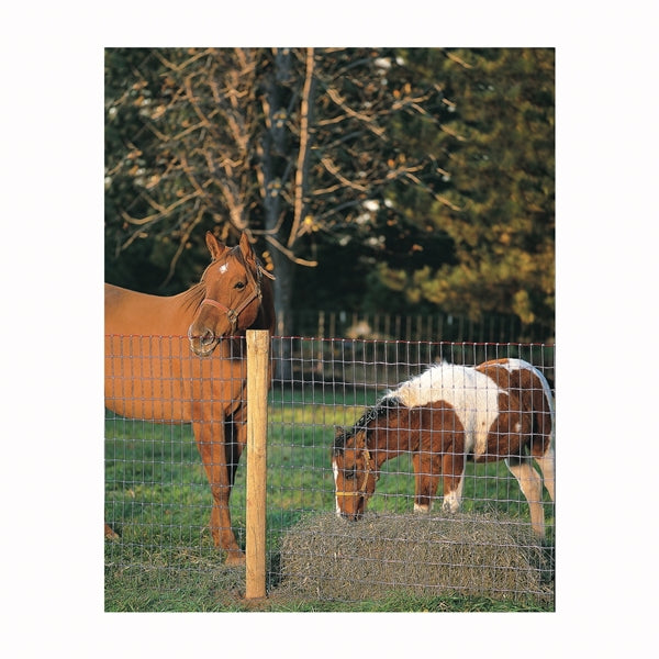 Red Brand Square Deal Tradition 70310 Horse Fence, 100 ft L, 48 in H, Non-Climb Mesh, 2 x 4 in Mesh, 12.5 ga Gauge