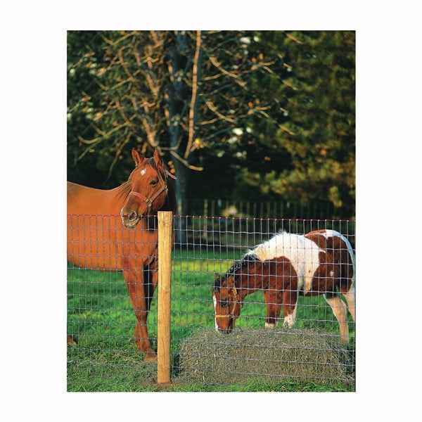 Red Brand Square Deal Tradition 70314 Non-Climb Horse Fence, 100 ft L, 60 in H, 2 x 4 in Mesh, 12-1/2 Gauge