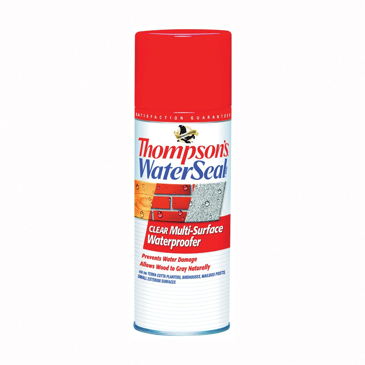 Thompson&#39;s WaterSeal TH.10100-18 Waterproofer, Clear, 12 oz, Aerosol Can