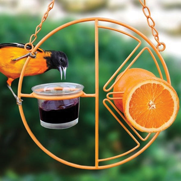 HEATH CF-133 Clementine Bird Feeder, 2 oz, Steel, Orange