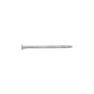 MAZE STORMGUARD TH4492A050 Pole Barn Nail, Hand Drive, 20D, 4 in L, Steel, Galvanized, Ring Shank, 50 lb