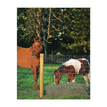 Load image into Gallery viewer, Red Brand Square Deal Tradition 70318 Horse Fence, 100 ft L, 72 in H, Non-Climb Mesh, 2 x 4 in Mesh, 12.5 ga Gauge
