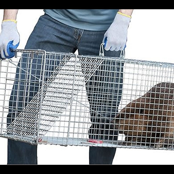 Victor 1081 Animal Trap, 15 in W, 15 in H, Spring-Loaded Door