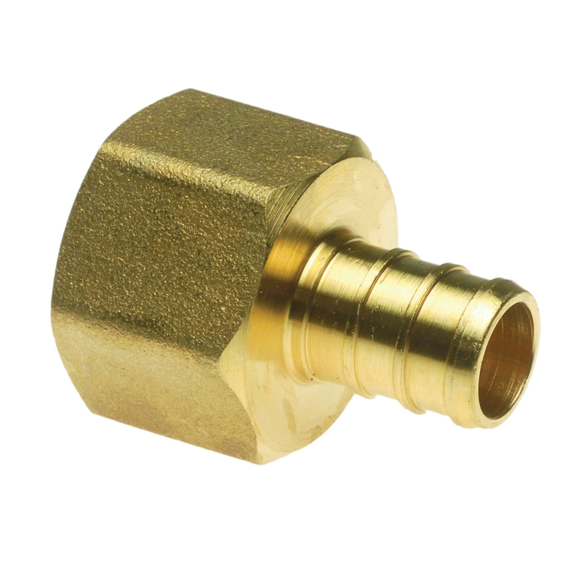 Apollo Valves APXFA1212 Pipe Adapter, 1/2 in, PEX x FPT, Brass, 200 psi Pressure