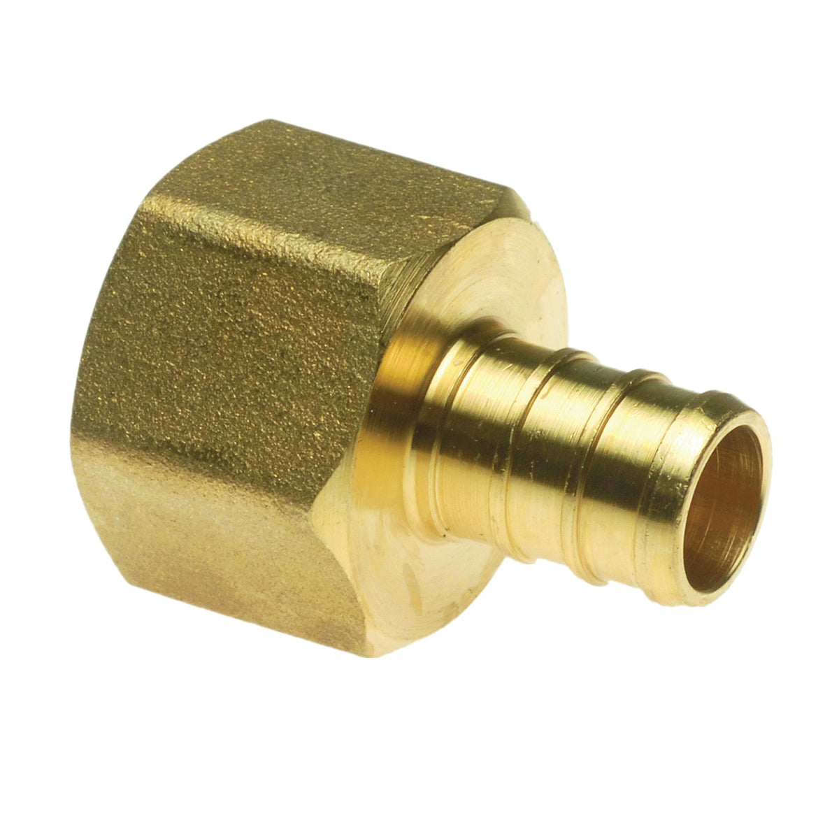 Apollo Valves APXFA12125PK Pipe Adapter, 1/2 in, PEX x FPT, Brass, 200 psi Pressure