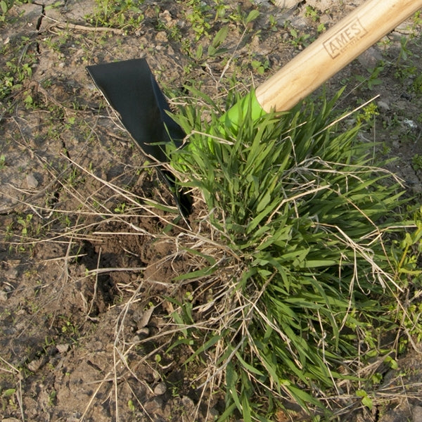 AMES 2825500 Weeder Hoe, 9 in W Blade, 3-1/2 in L Blade, Steel Blade, Hardwood Handle, 54-1/4 in OAL