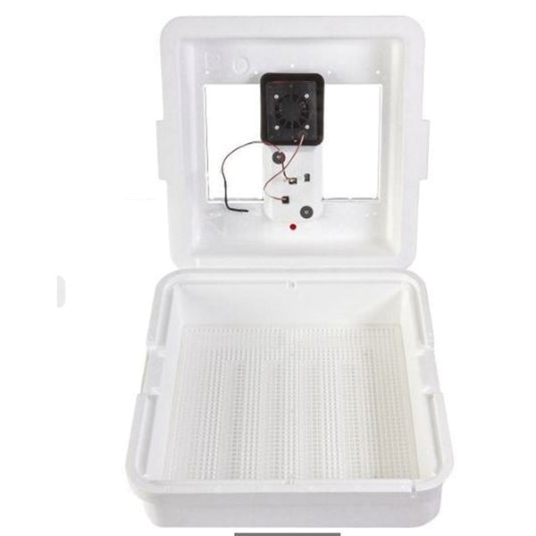 Little Giant 9300 Egg Incubator, 110 V, 41 Large Chicken Eggs Egg, Styrofoam