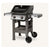 Weber SPIRIT II E-210, 44010001 Gas Grill, Liquid Propane, 2 -Burner, fold down left side, Black