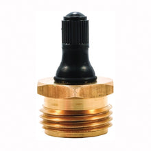 Load image into Gallery viewer, CAMCO 36153 Blow Out Plug, Brass
