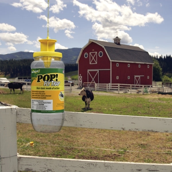 RESCUE POP! PFTA-DB12 Fly Trap, Solid, Musty, 1.45 oz Refill Pack