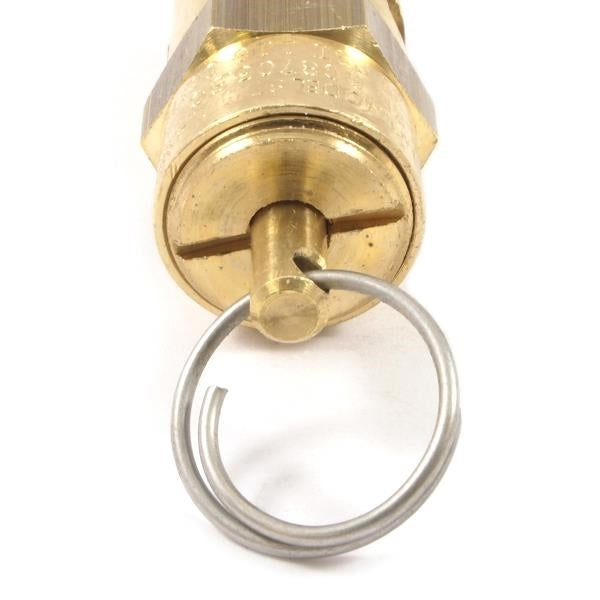 Forney 75552 Safety Valve, Brass, Zinc