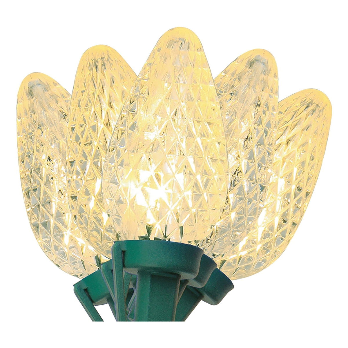 Hometown Holidays U15E265F Light Set, Christmas, 120 V, 4.8 W, 60-Lamp, LED Lamp, Warm White Lamp, 14.96 ft L