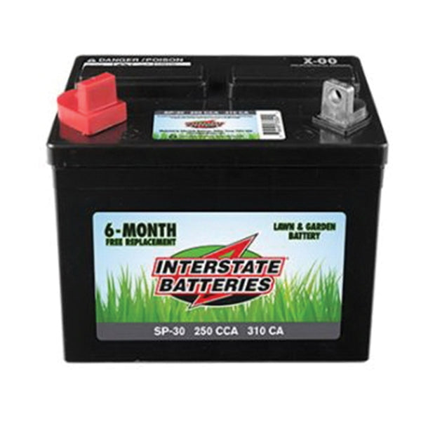 INTERSTATE BATTERIES SP-30 Lawn and Garden Battery, Lead-Acid
