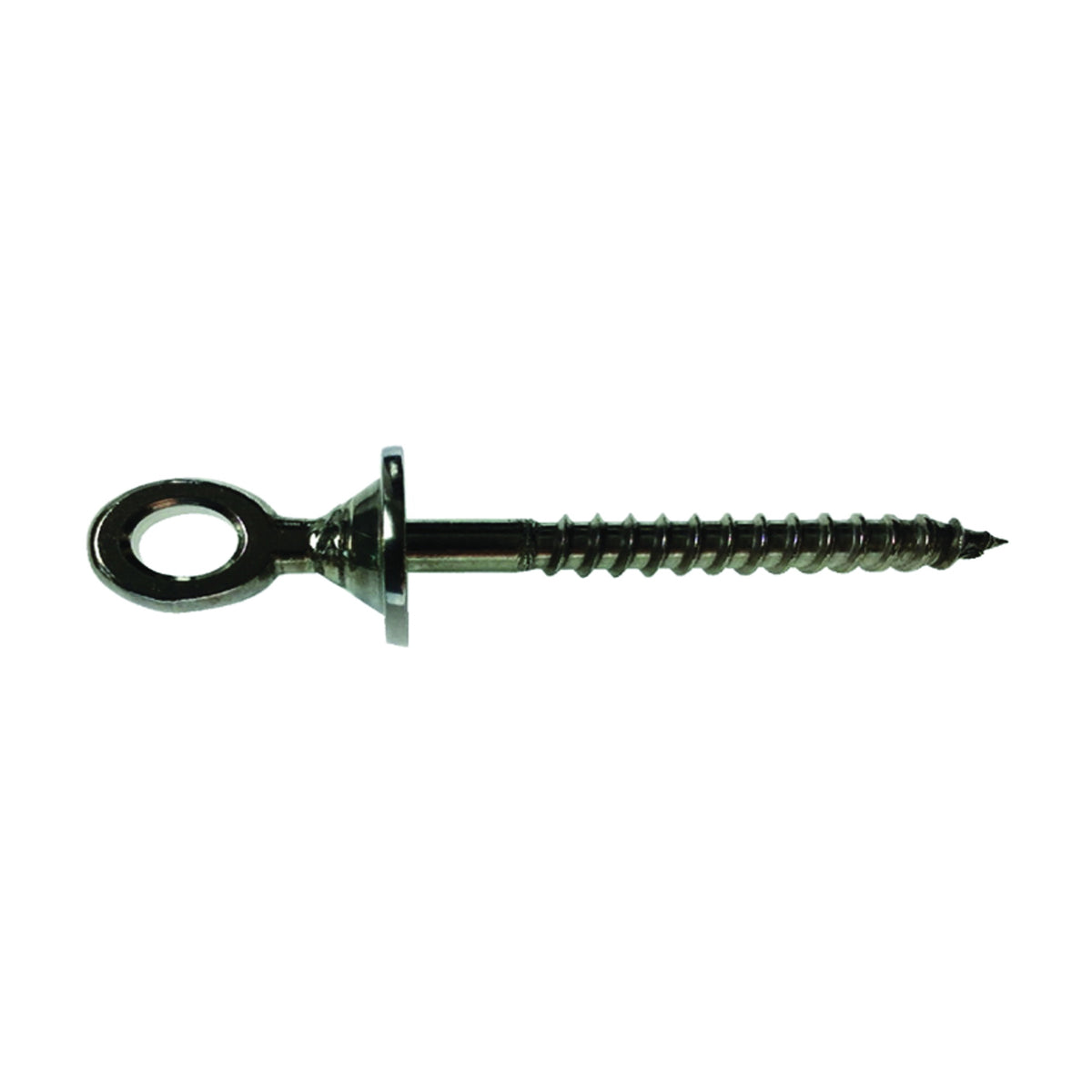 Ram Tail RT EL-01 Eye Lag Screw, Stainless Steel